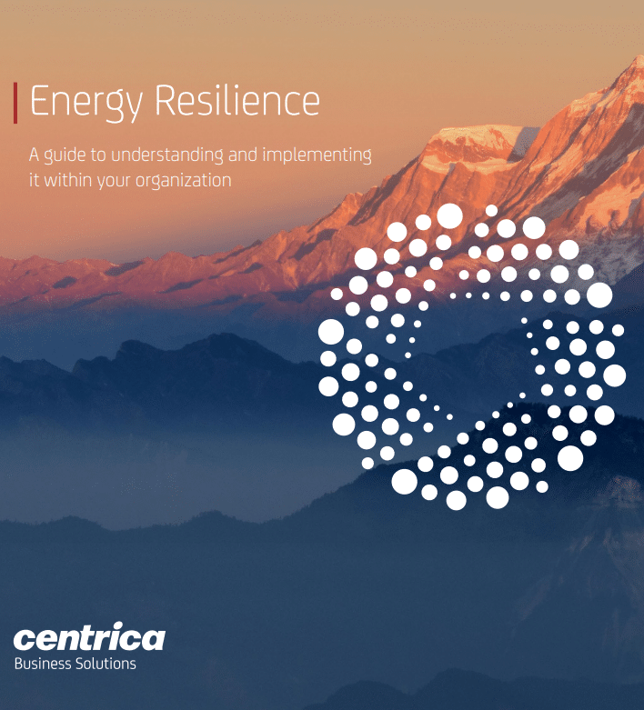 Energy Resilience: A guide to understanding and implementing it within your organization