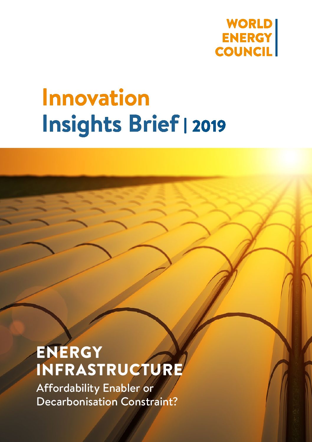 ENERGY INFRASTRUCTURE Affordability Enabler or Decarbonisation Constraint?