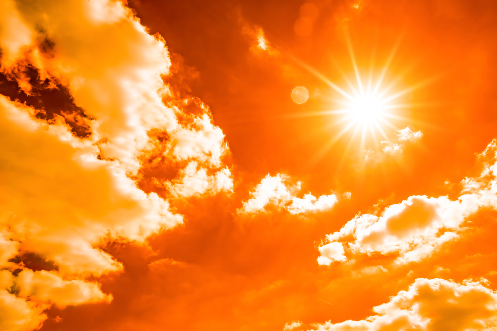 How microgrids performed during the summer heatwave