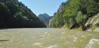 Schneider explores new resource for microgrids — river currents