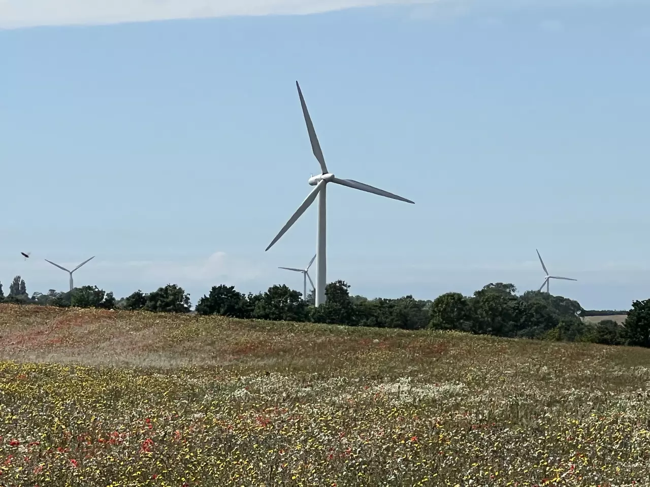 A Samsø, au Danemark, les éoliennes paient l’université des enfants