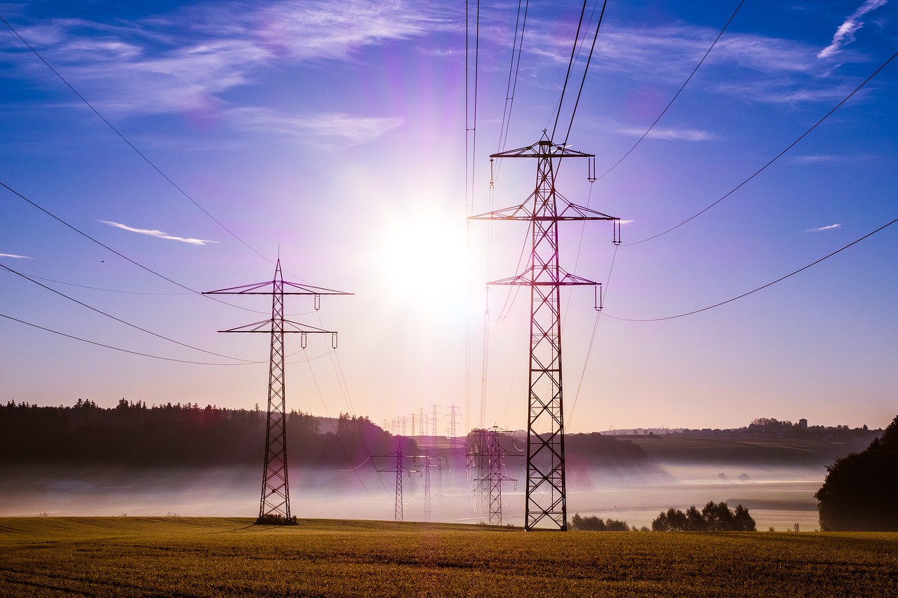 Grid modernisation top challenge for US utility executives
