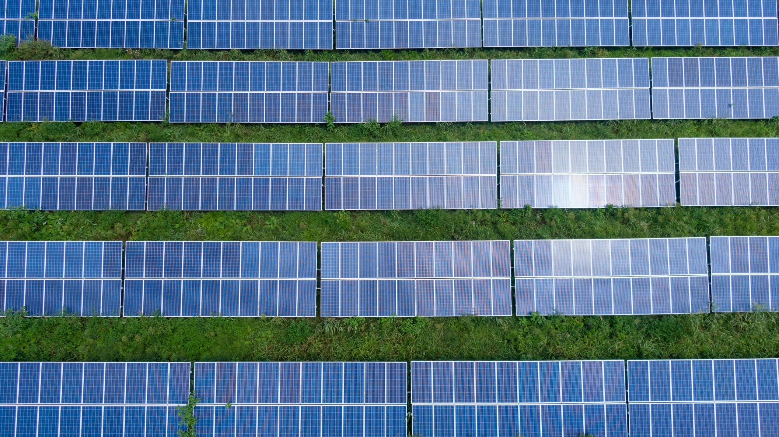 Wafer producers scramble to stay afloat despite hydropower advantage
