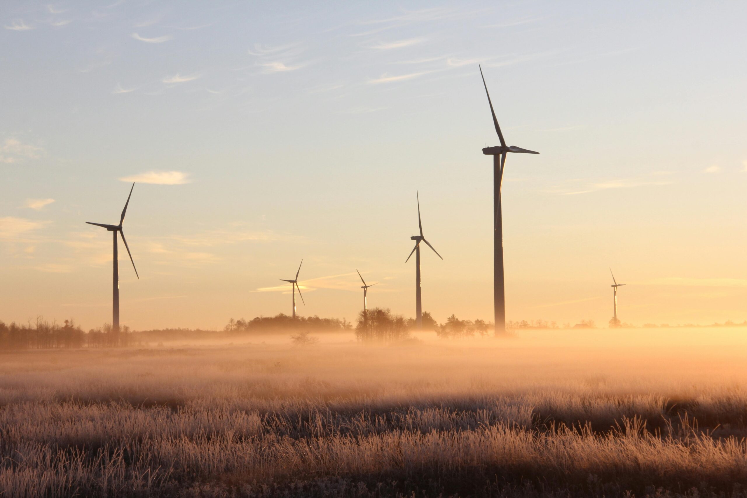 Germany doesn’t connect a single offshore wind turbine to grid in first half of 2025