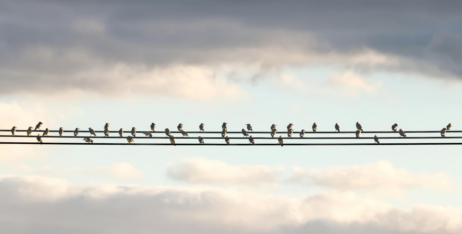 L’accord sur l’électricité – un élément clé pour la sécurité énergétique de la Suisse