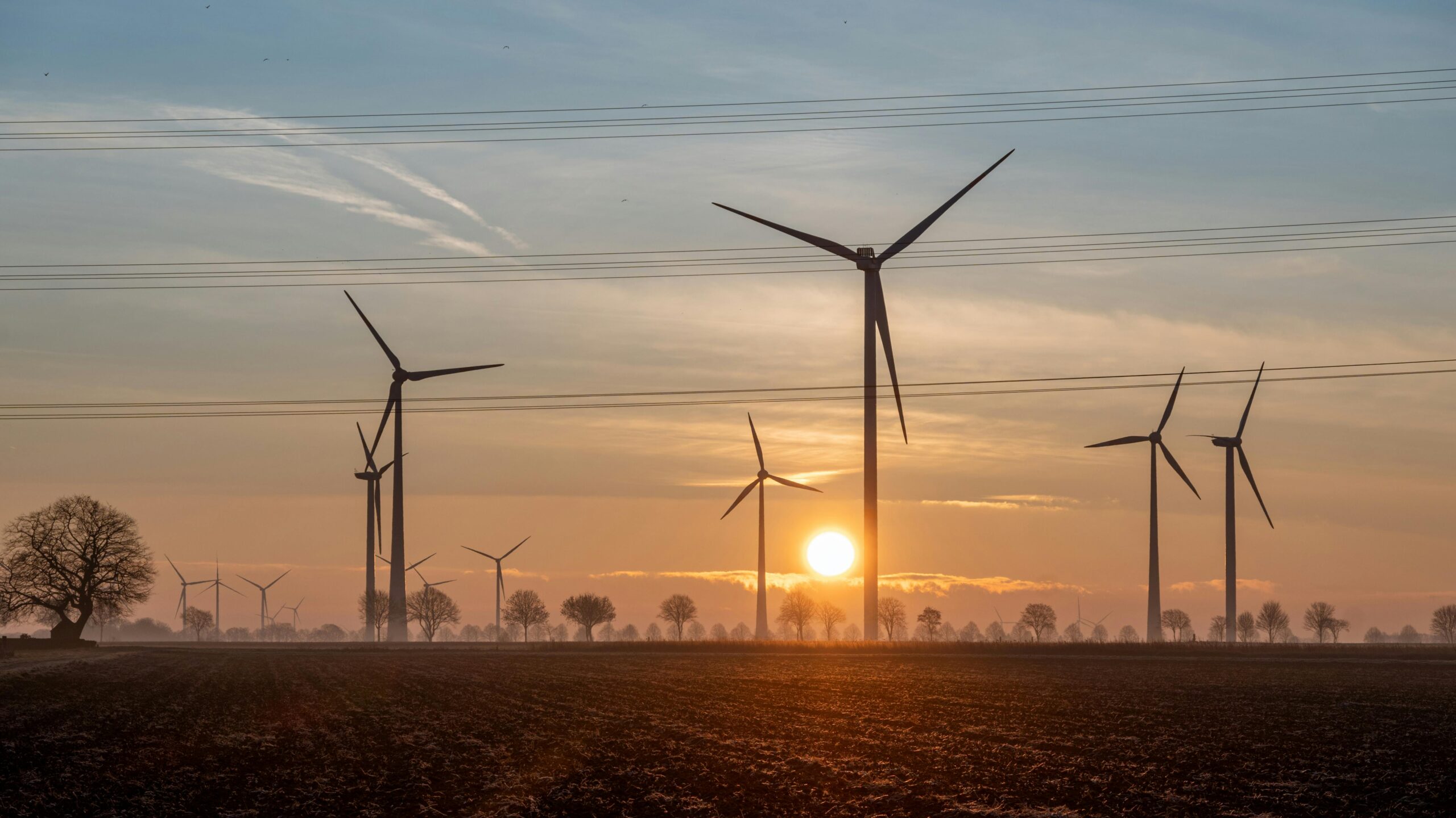 German energy transition not fast enough to reach renewables targets – report