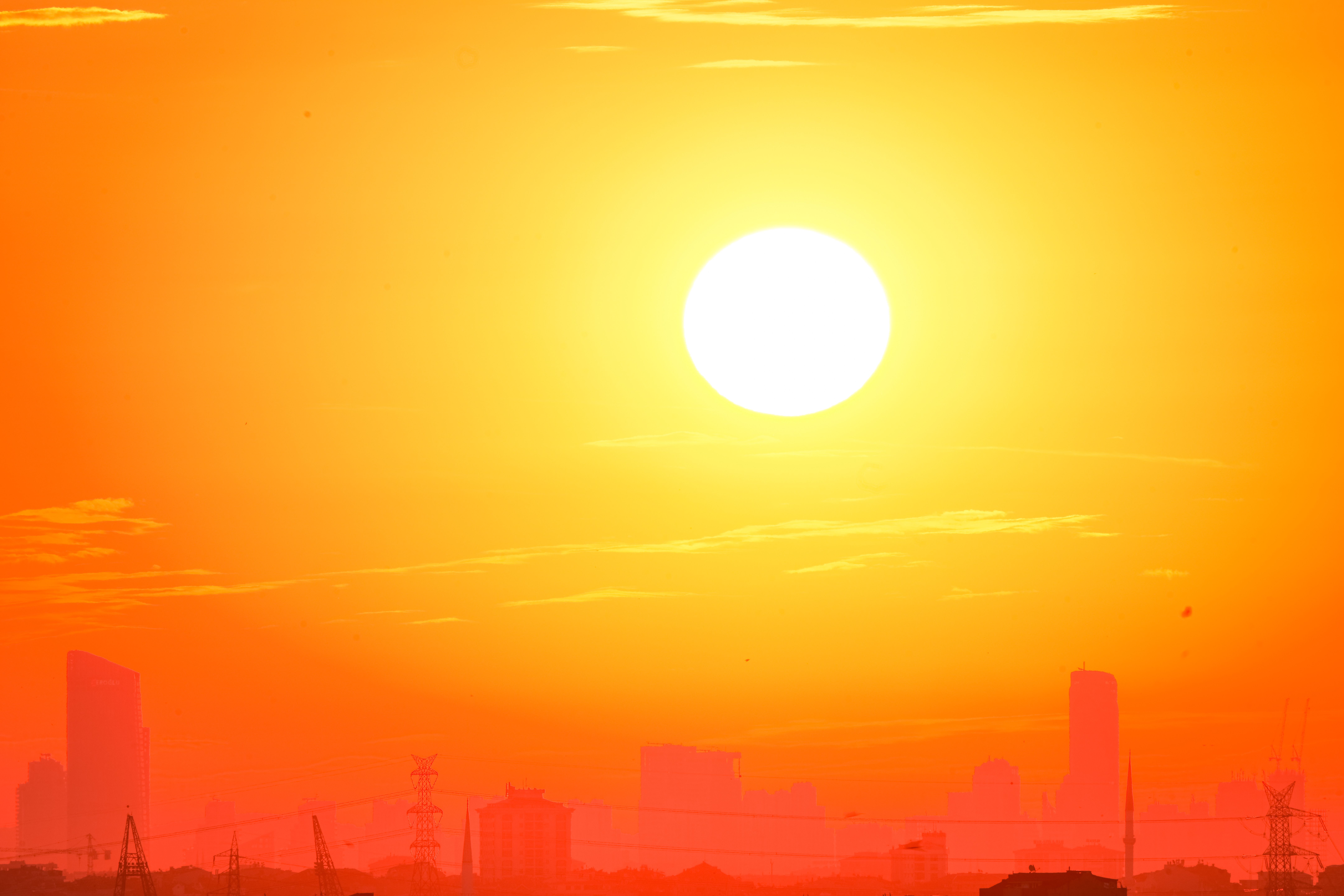 Canicule : l’Ademe publie un nouvel avis « pour rafraîchir durablement nos villes »