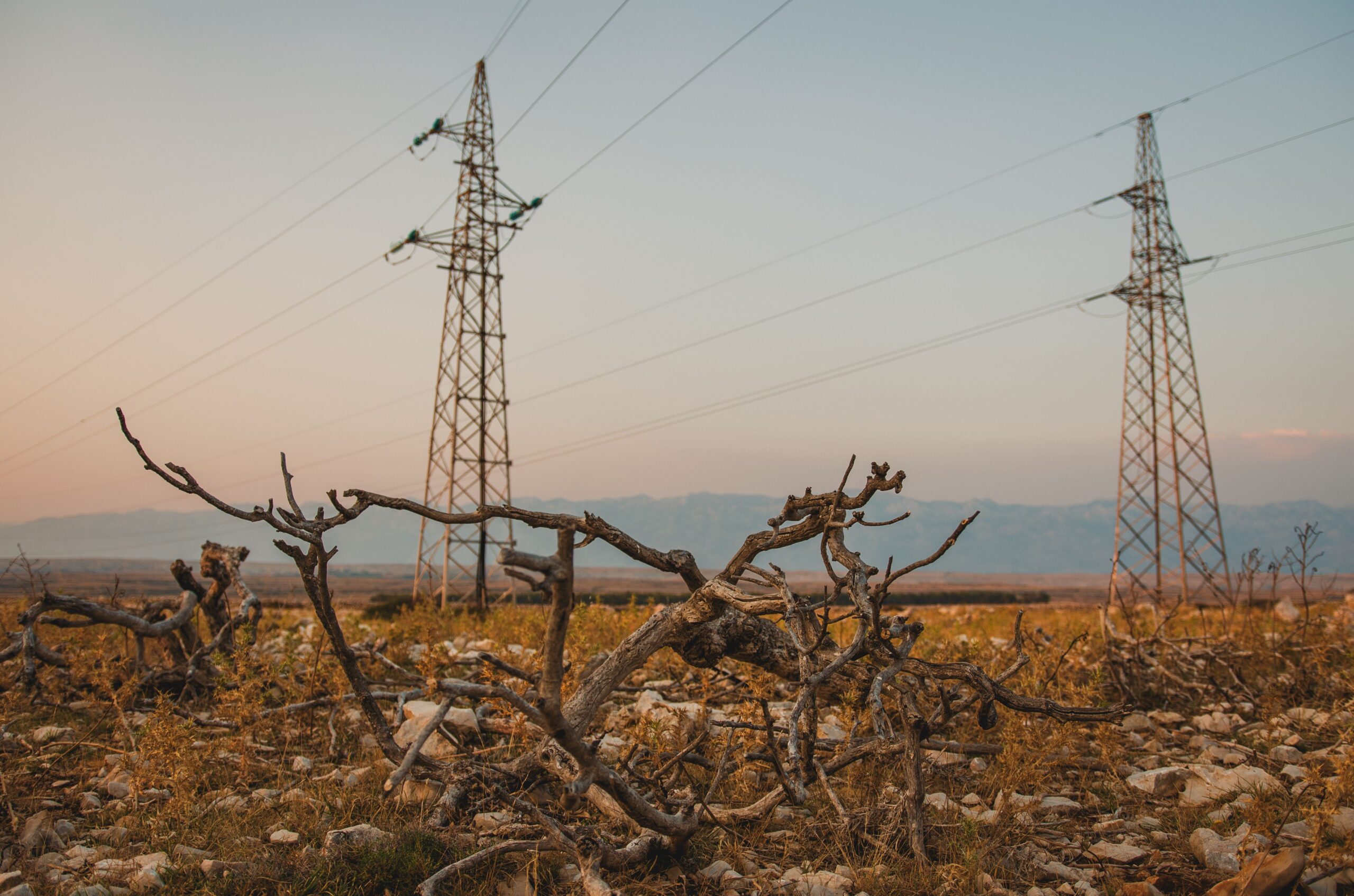 Une enquête de l’AES révèle que les tarifs de l’électricité devraient continuer à baisser en 2027